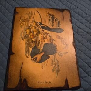 Arthur Singer - Florida Scrub Jay Art on Wooden Plaque